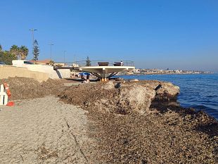 mazara-cumuli-di-alghe-nellarenile-di-san-vito-non-e-una-spiaggia-di-serie-b