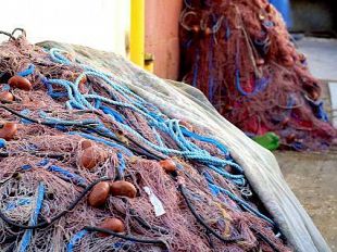 pesca-siciliana-valorizzazione-e-sviluppo-un-workshop-della-coldiretti-a-mazara-del-vallo