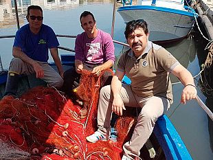 video-mazara-i-delfini-distruggono-le-reti-e-rubano-il-pesce-l-incubo-per-la-piccola-pesca