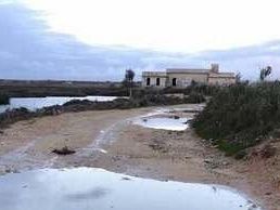 randagismo-ispra-danni-ambientali-per-le-zone-umide-del-mazarese