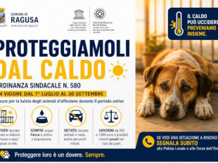 ragusa-firmata-ordinanza-sindacale-volta-a-salvaguardare-gli-animali-dalle-temperature-elevate