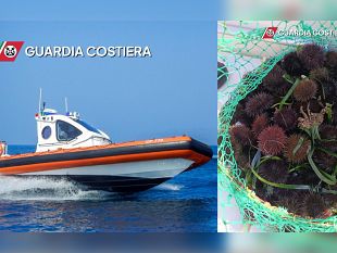 sequestrati-dalla-guardia-costiera-ricci-di-mare-nel-tratto-antistante-limboccatura-del-porto-di-trapani
