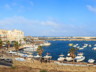 pantelleria-aderisce-ad-iter-vitis-il-cammino-della-vite