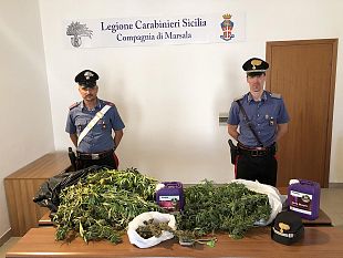 marsala-nascondeva-coltivazione-di-marijuana-in-casa-arrestato-dai-carabinieri