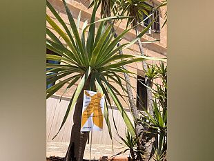 favignana-dal-blu-al-verde-in-azione-da-oggi-il-green-team-di-stefania-mode