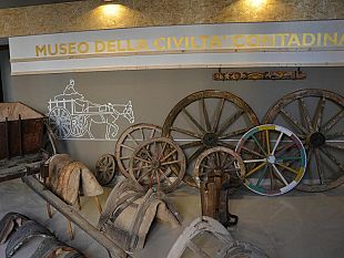 grande-successo-per-l-inaugurazione-del-museo-della-civilta-contadina