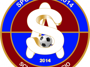 lavori-in-corso-per-la-4-edizione-del-trofeo-giovane-calciatore-e-non-solo-e-winner-soccer-awards