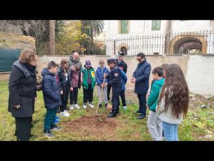 mazara-allistituto-pirandello-il-progetto-nazionale-un-albero-per-il-futuro