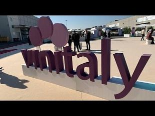castelvetrano/10-aziende-siciliane-al-vinitaly