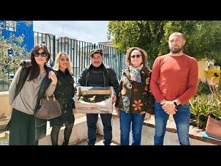 mazara/progetto-bio-di-classe-allic-luigi-pirandello-di-mazara