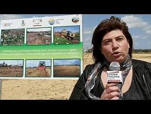 progetto-coltivatori-di-legalita-intervista-a-valeria-pipitone