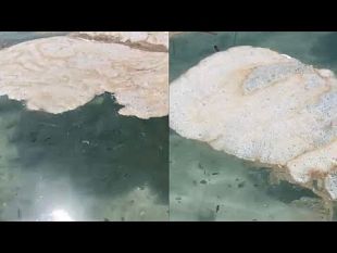 mazara-cittadino-denuncia-mare-sporco-a-san-vito-nella-spiaggia-libera-tra-kikis-e-buxutu