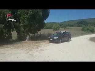 buseto-palizzolo-arrestato-trapanese-per-vasto-incendio-boschivo-della-scorsa-estate