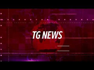 tg-news-del-7-novembre-2024