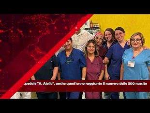 tg-news-del-14-novembre-2024