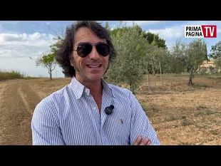 la-campagna-come-cura-per-l-anima