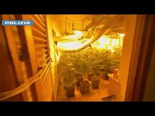 video-carini