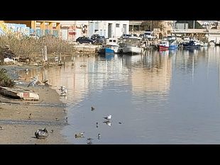 oasi-naturalistica-nel-fiume-mazaro-il-video-reportage