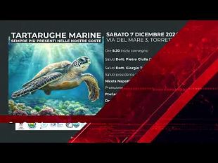 primanews-del-3-dicembre-2024