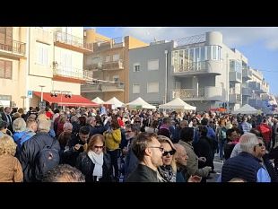 belice/santa-ninfa-grande-successo-per-la-sagra-della-pecora-della-valle-del-belice