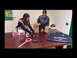 video-palermo-sequestrati-17-reperti-fossili-importati-illegalmente-affidati-al-museo-gemmellaro