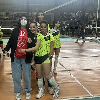 /images/1/8/18-new-free-volley1.jpg