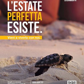 /images/2/3/23-locandina-conigli-1.jpeg