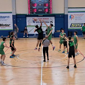 /images/2/4/24-villaurea-basket-2.jpg