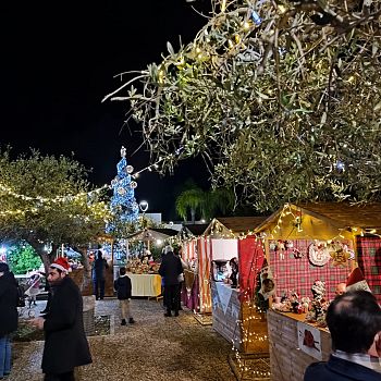 /images/2/9/29-villaggio-di-natale-2024-petrosino-03.jpg