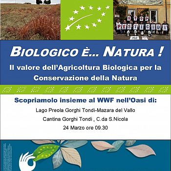 /images/3/3/33-biologico-e-natura--evento-presso-riserva-laghi-preola-e-gorghi-tondi-03.jpg
