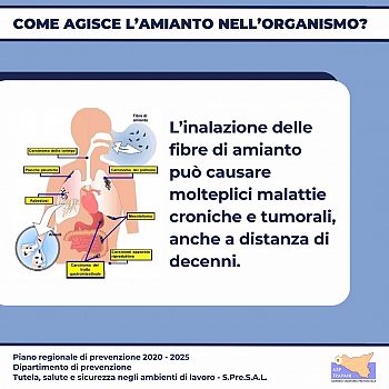 /images/5/2/52-attenzione-amianto--asp-trapani-02.jpg