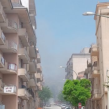 /images/5/5/55-altre-foto-incendio.jpg