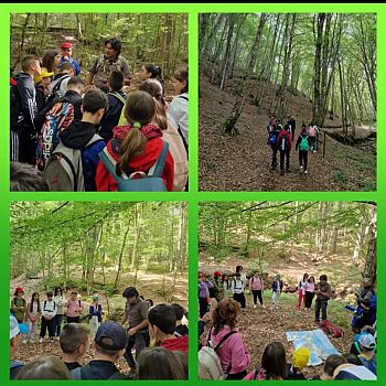 /images/5/5/55-aspromonte2.jpg