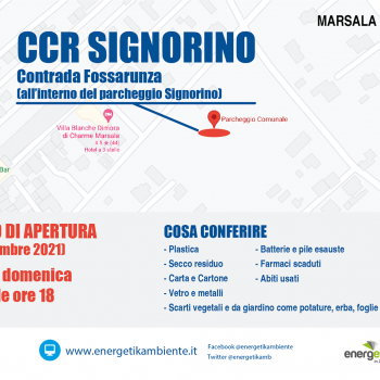 /images/5/5/55-ccr-signorino.png