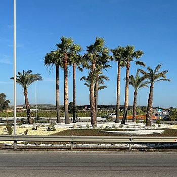 /images/6/6/66-rotatoria-aeroporto---marsala.jpeg