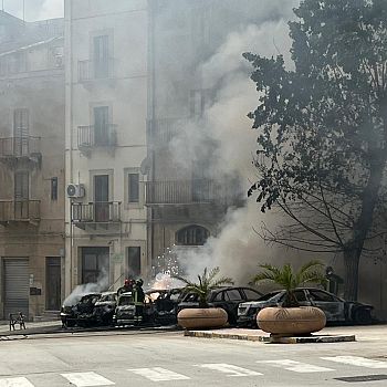 /images/8/1/81-rogo-salemi2.jpg