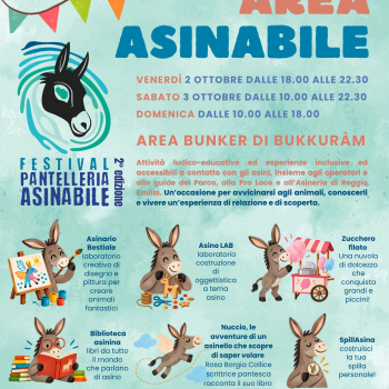 /images/8/5/85-area-asinabile.png