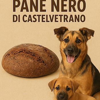 /images/9/8/98-cuccioli-pane.jpg
