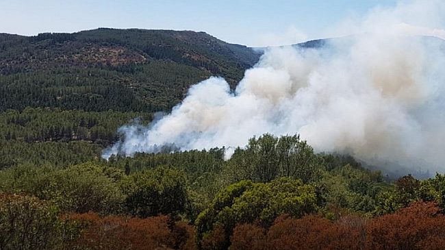 Ritarda l'avvio del servizio per la maggior parte dei Forestali