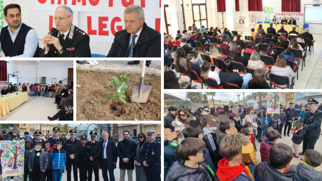 Partanna, piantato l’albero di Falcone: un simbolo di legalità per le nuove generazioni