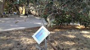 Il ricordo di Denise Pipitone dimenticato nella “Villa al mare”