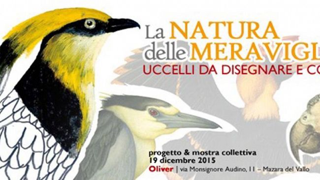 Oliver: al Museo Ornitologico di Mazara del Vallo, verrà inaugurata la mostra LA NATURA DELLE MERAVIGLIE