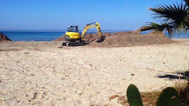Tonnarella, via alla rimozione della posidonia. Il punto sulla vicenda lidi