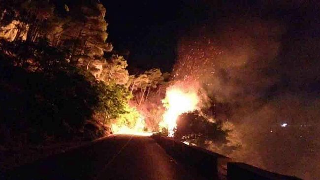 In fiamme il bosco di Erice, il racconto del giornalista Mario Torrente