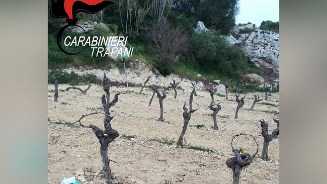 Omicidio Indelicato. Bonetta confessa il delitto. Era nascosto nel portabagagli dell’auto della Buffa