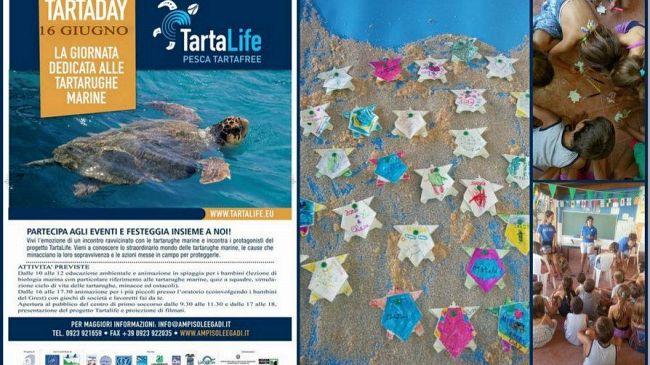 L’Area Marina Protetta aderisce al TARTADAY  giornata mondiale delle tartarughe marine celebrata da due Progetti Life