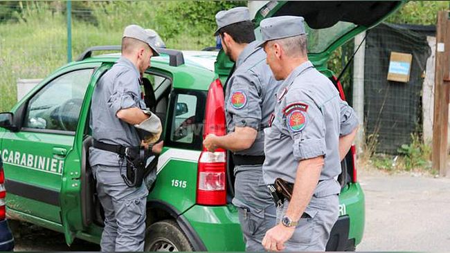 Trapani e provincia: controlli antibracconaggio, denunce e sanzioni dei carabinieri forestali