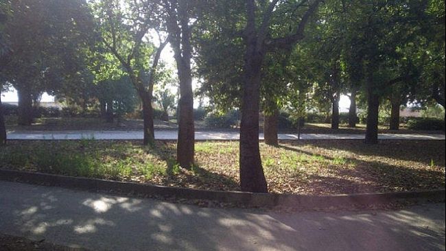 Tre giovani aggrediti a bastonate per pochi euro al Parco delle Rimembranze a Castelvetrano