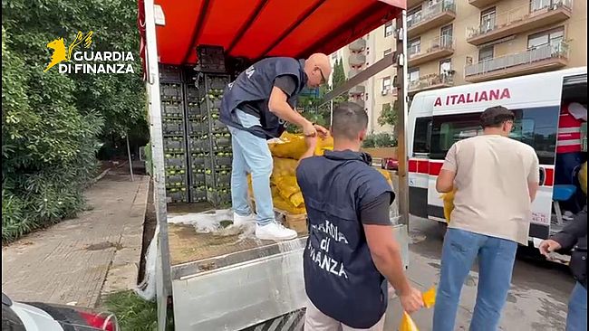 scoperto-dalla-guardia-di-finanza-di-palermo-un-mercato-ortofrutticolo-abusivo-video