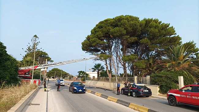 Perde il controllo dell’auto e finisce contro un palo